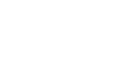 Paviljoen Boszicht | Restaurant, vergader- en feestlocatie Drenthe